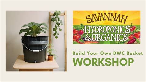 savannah hydroponics